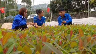 Những cán bộ đoàn tiên phong ở cơ sở