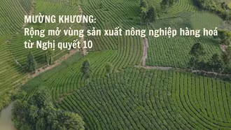 Rộng mở vùng sản xuất nông nghiệp hàng hóa từ Nghị quyết 10