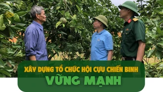 Xây dựng tổ chức hội cựu chiến binh vững mạnh