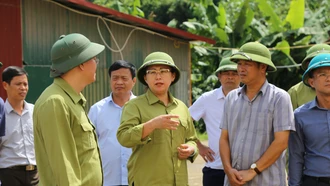 Đồng chí Giàng Thị Dung, Phó Chủ tịch UBND tỉnh kiểm tra tình hình khắc phục bão số 3 tại huyện Bát Xát