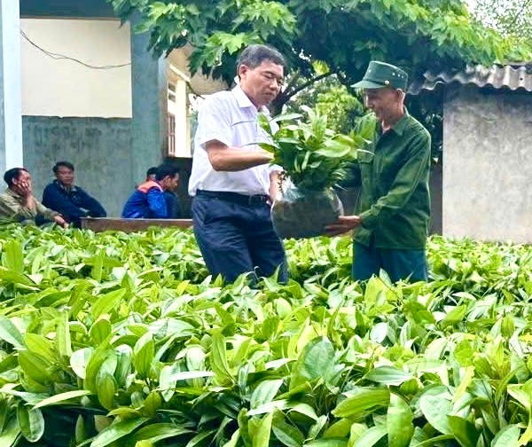 គ្រួសារដែលមានស្ថានភាពលំបាកទទួលបានគ្រាប់ពូជ cinnamon ។ img-3066.jpg