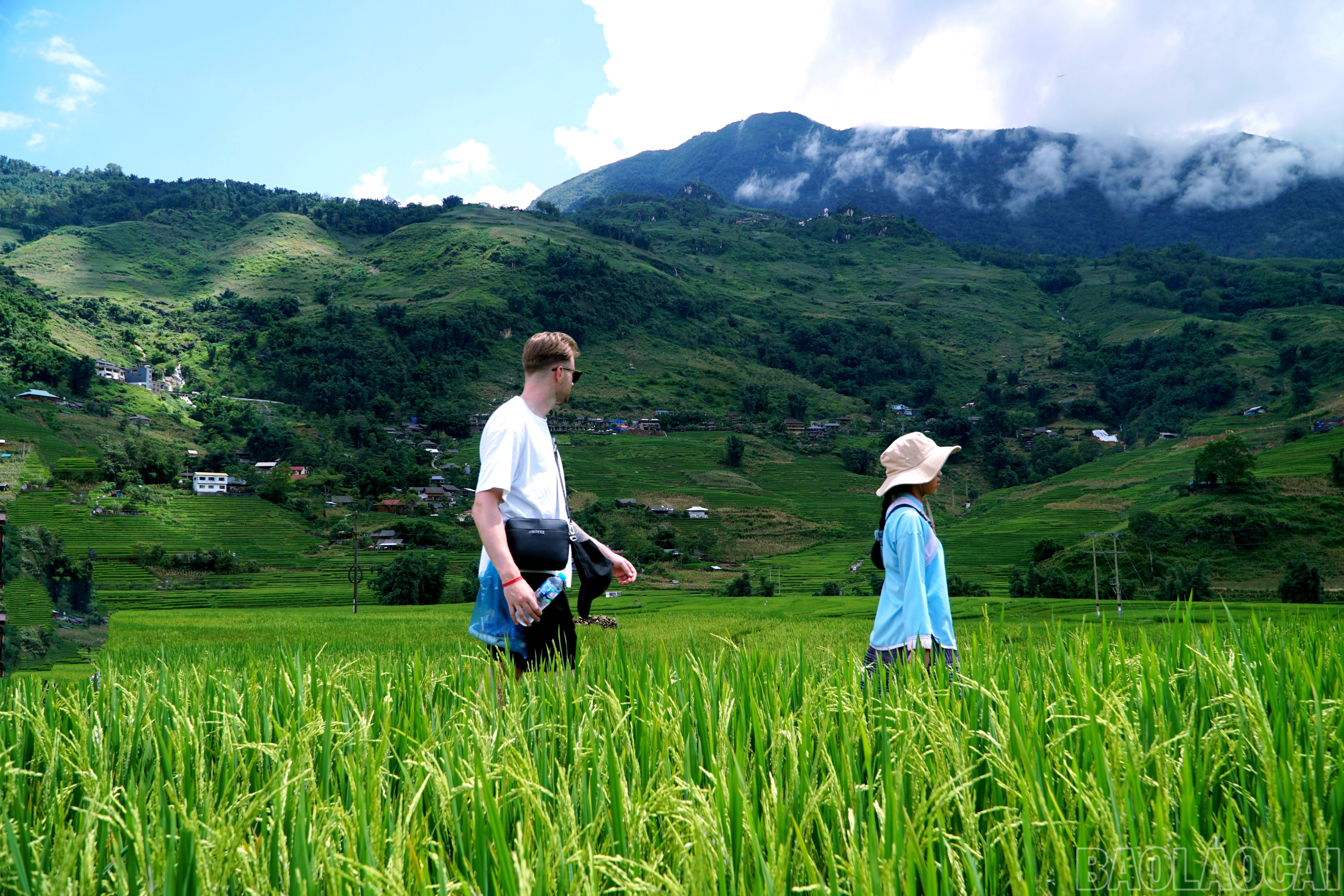 Chỉ đơn giản men theo ruộng lúa bậc thang ở Tả Van, du khách có thể thu vào tầm mắt vẻ đẹp thiên nhiên ít nơi có được. baolaocai-br_img-20250802-085626.jpg