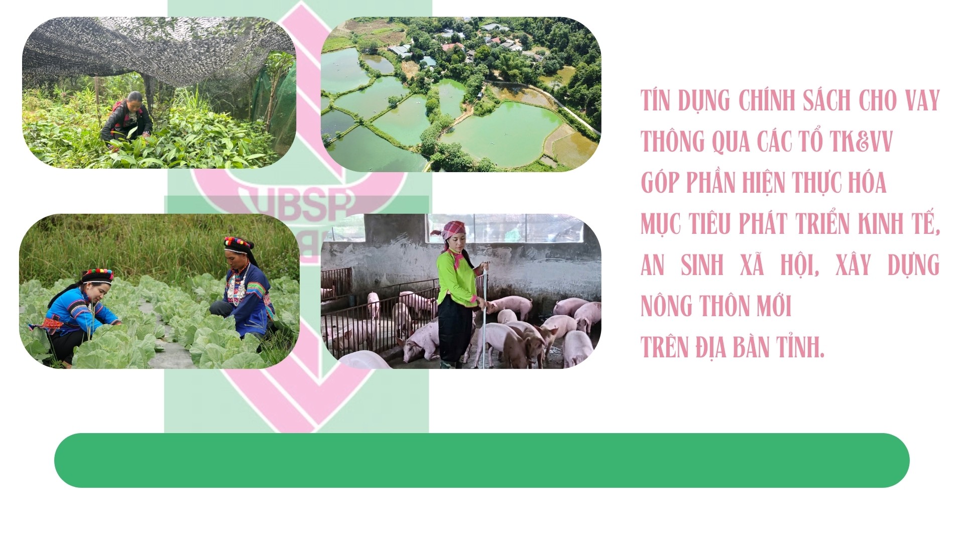 Environment-protection-20250819-215201-0000.jpg