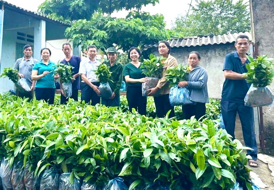 ដើមអំពិលចំនួន ៣៦,០០០ ត្រូវបានផ្តល់ជូនគ្រួសារជួបការលំបាកក្នុងវួដ Lao Cai ។ img-3065-2048.jpg
