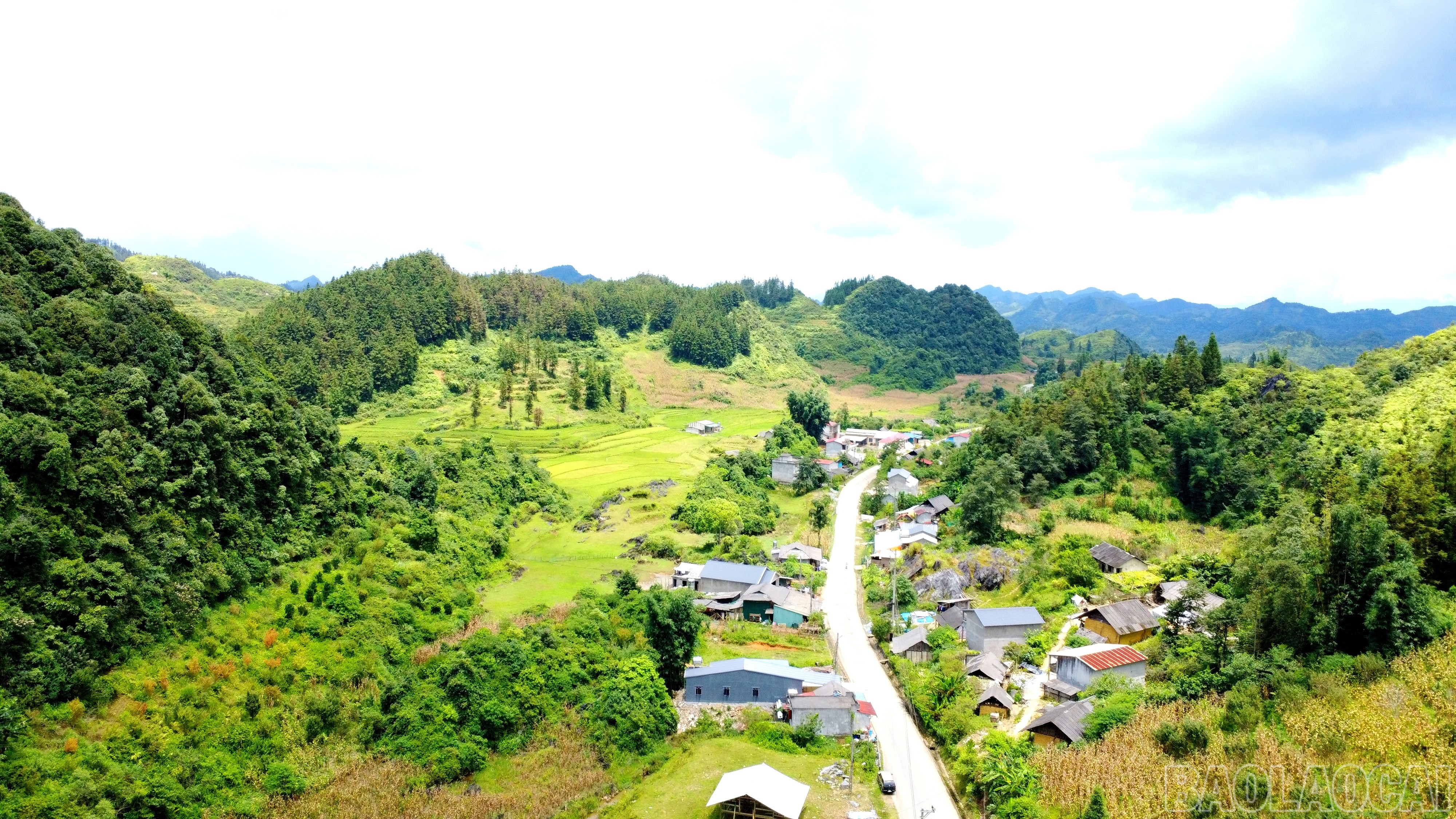Thôn Tả Chải có 104 hộ thì có 100 hộ là người Phù Lá. baolaocai-br_img-20250818-212713.jpg
