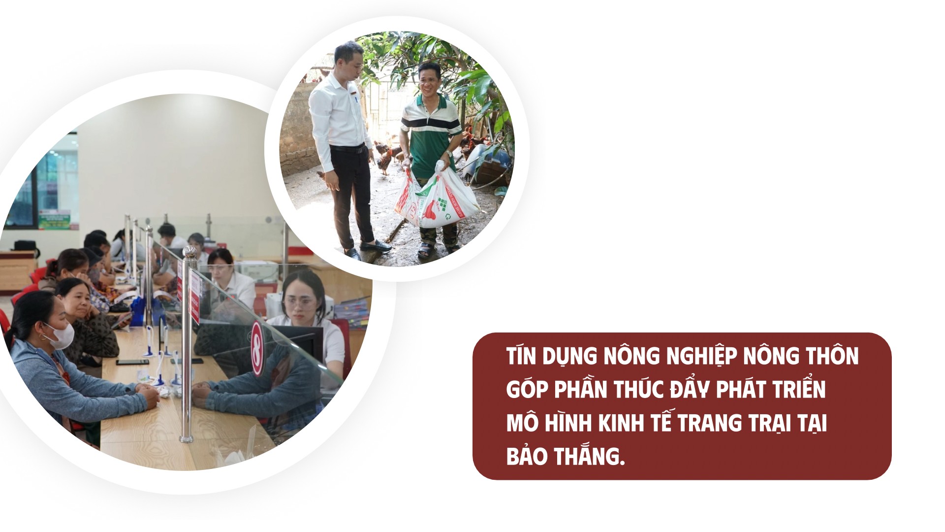 rin-dung-xanh-2.jpg