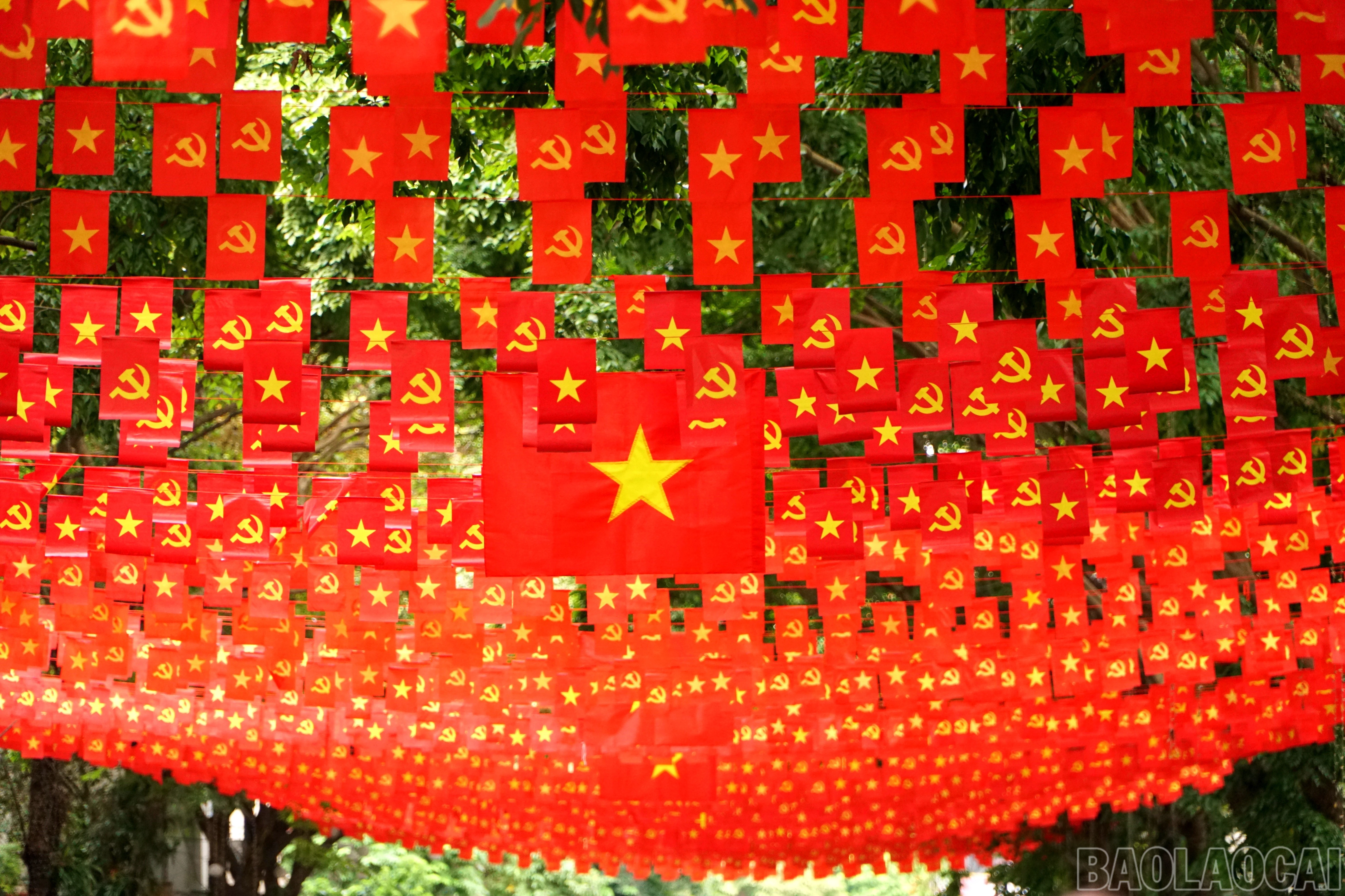 baolaocai-br_img-20250825-202941.jpg