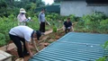 Thành phố Lào Cai hoàn thành thống kê, kiểm đếm phục vụ giải phóng mặt bằng Dự án đường sắt Lào Cai - Hà Nội - Hải Phòng