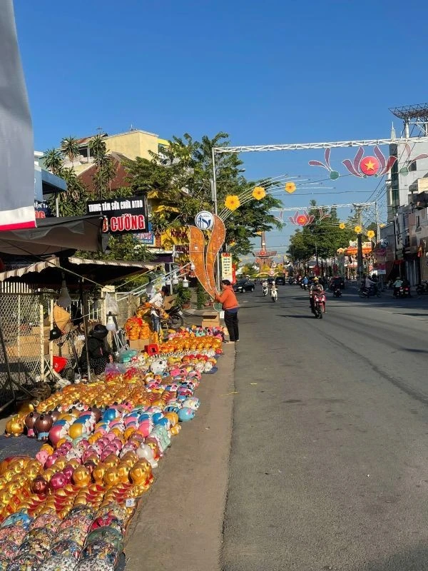 Heo đất - món hàng ý nghĩa đầu năm được bày bán với đủ màu sắc.