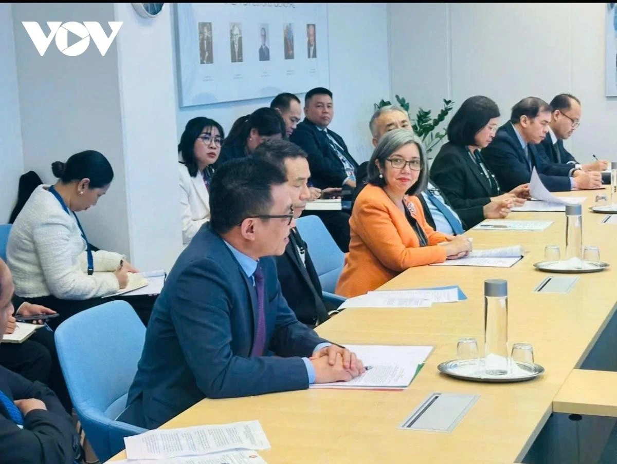 Đại sứ Việt Nam tại Áo, Vũ Lê Thái Hoàng, khẳng định Việt Nam cam kết sẽ thực hiện vai trò điều phối trên tinh thần khách quan, bao trùm, minh bạch, thúc đẩy đối thoại và đồng thuận, tăng cường phối hợp với Cơ quan Năng lượng nguyên tử quốc tế (IAEA) trong các nội dung liên quan đến sử dụng năng lượng hạt nhân.