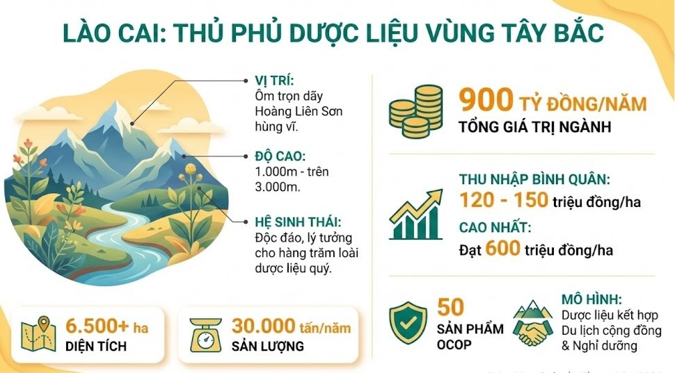infographic-bao-lao-cai-4.jpg