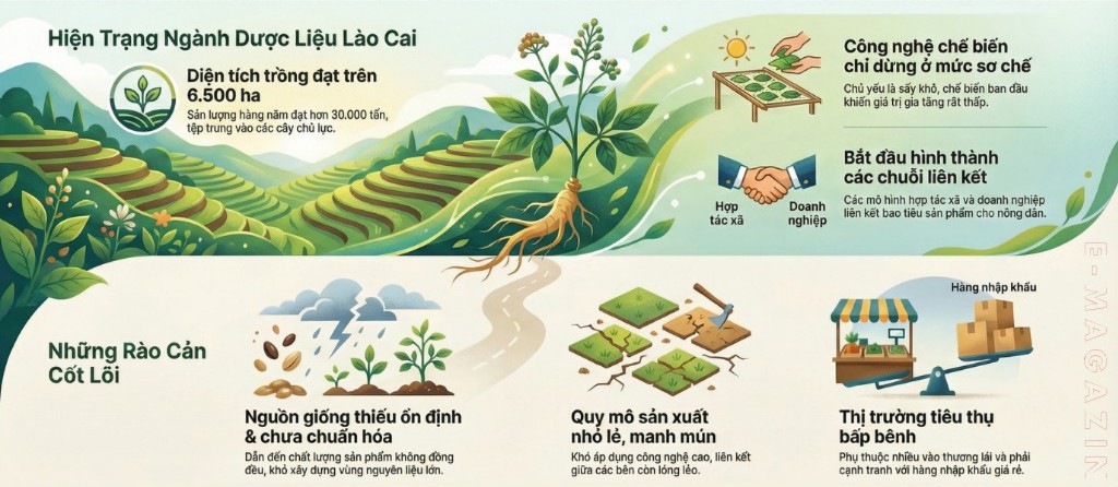 infographic-bao-lao-cai-2.jpg