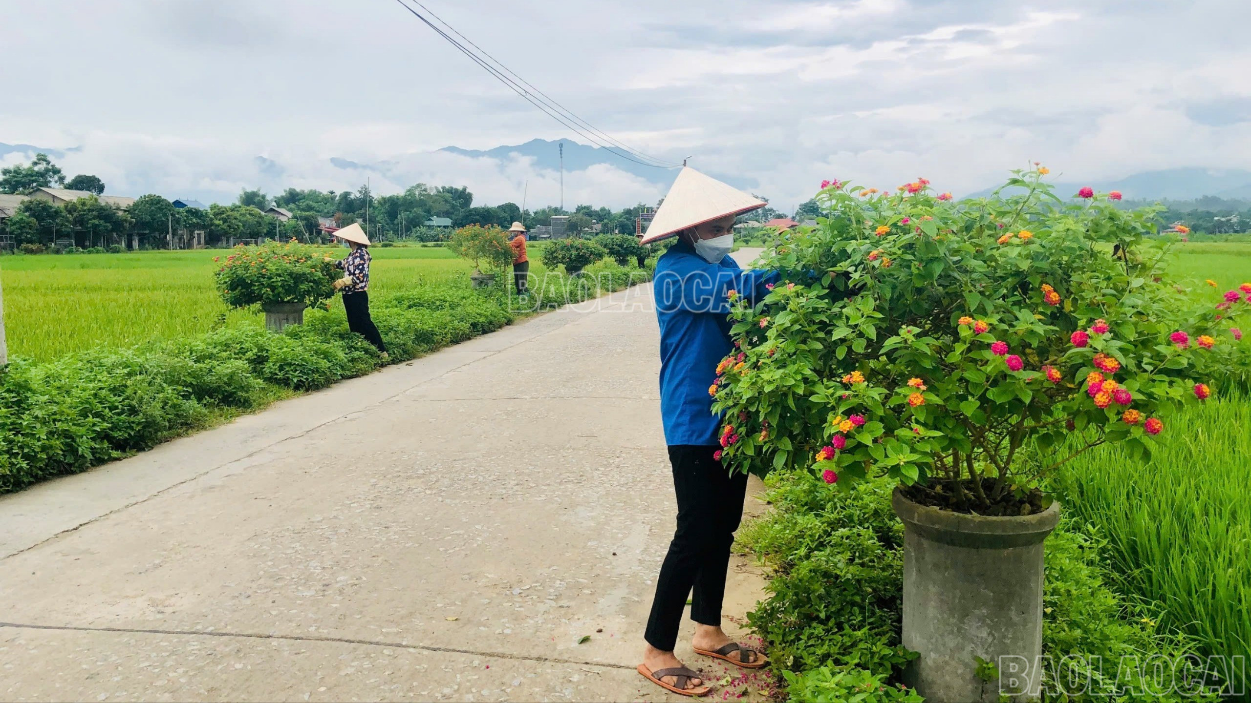 Cảnh quan môi trường tại các làng quê ngày một xanh, sạch, đẹp. baolaocai-c-ntm.jpg