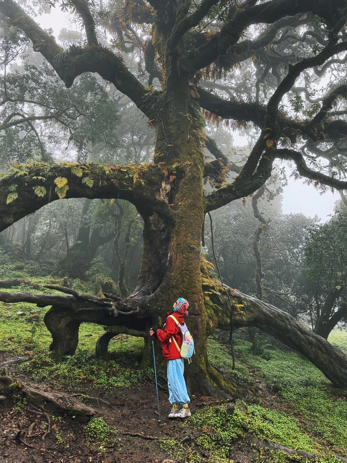 Sa Mu cung trekking mới nổi giữa rừng già Tây Bắc.