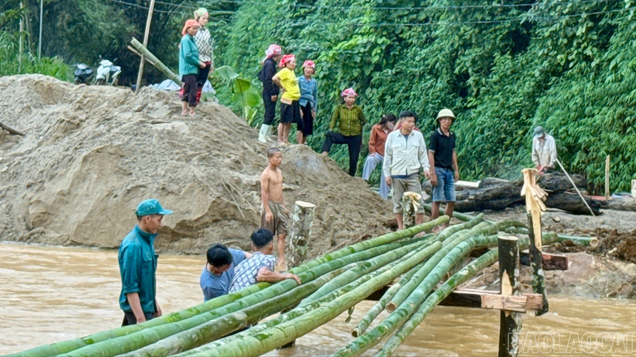 baolaocai-br_br-z7162983861880-2079392772439da46a842b057d1cf9df.jpg