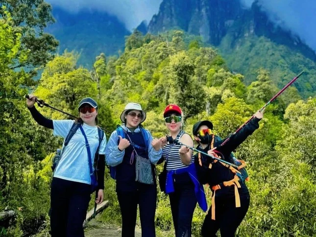 Miền Bắc Việt Nam sở hữu nhiều đỉnh núi hùng vĩ, là điểm đến lý tưởng cho những ai yêu thích trekking và khám phá thiên nhiên. Với người mới bắt đầu, núi Hàm Lợn (Sóc Sơn, Hà Nội) là lựa chọn dễ tiếp cận nhất, có thể chinh phục trong nửa ngày với độ cao khoảng 462m. Núi Ba Vì (Hà Nội) cũng là một cung nhẹ nhàng, nổi bật với cảnh rừng nguyên sinh, đền thờ Bác Hồ và khí hậu trong lành quanh năm. Nâng cấp độ khó hơn, bạn trẻ có thể thử đỉnh Tà Xùa (Yên Bái – Sơn La) nổi tiếng với biển mây bồng bềnh, độ cao hơn 2.800m nhưng đường đi không quá hiểm trở.