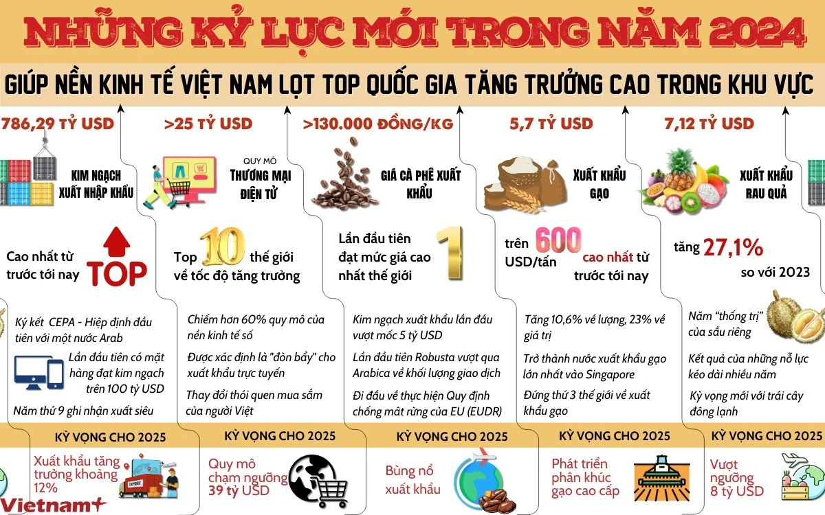 ky-luc-kinh-te-viet-nam-2024.jpg