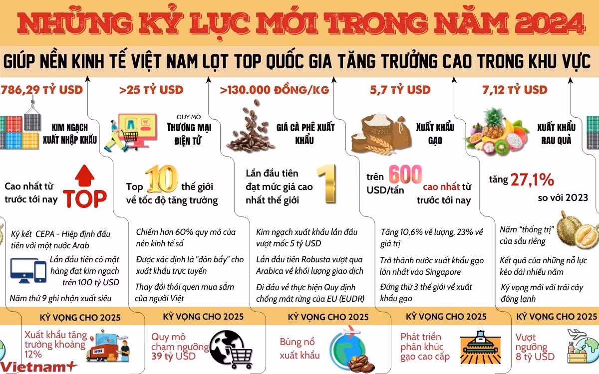 ky-luc-kinh-te-viet-nam-2024.jpg