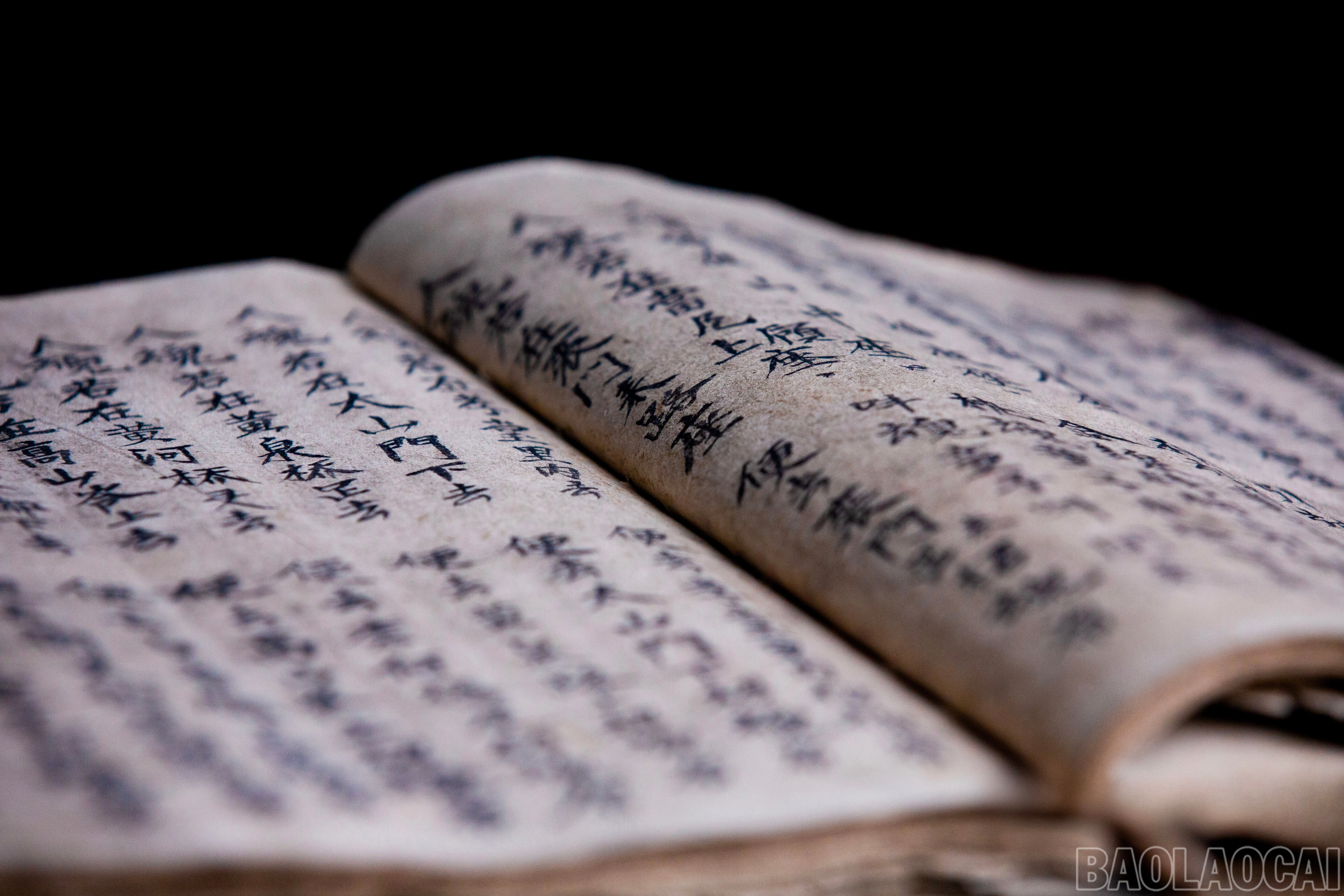 baolaocai-br_33-copy.jpg