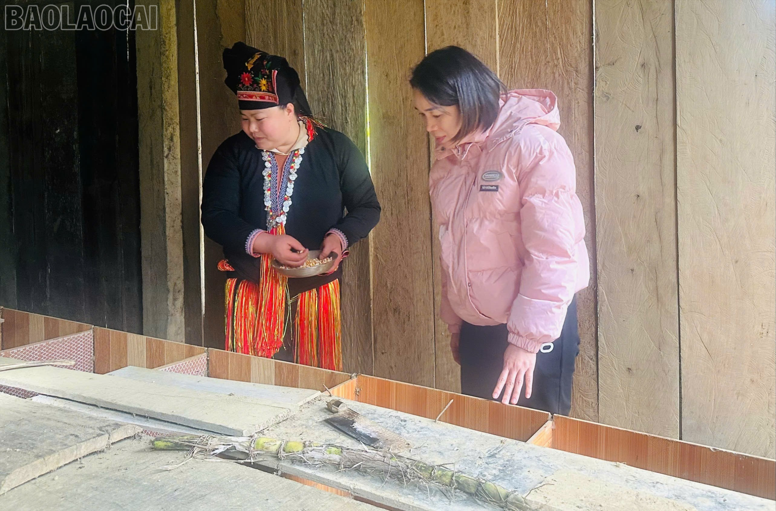 baolaocai-tl_tl-z7463379875506-9378fe927c96190466fbbb5386ea5347.jpg