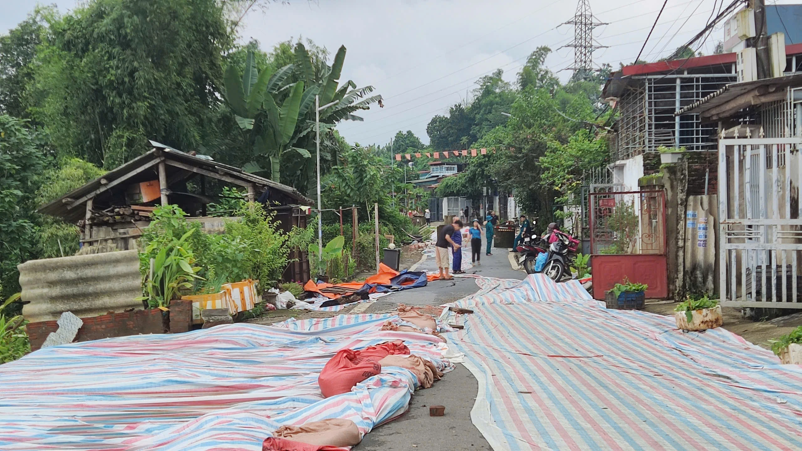 Rải bạt dứa vào các vết nứt.