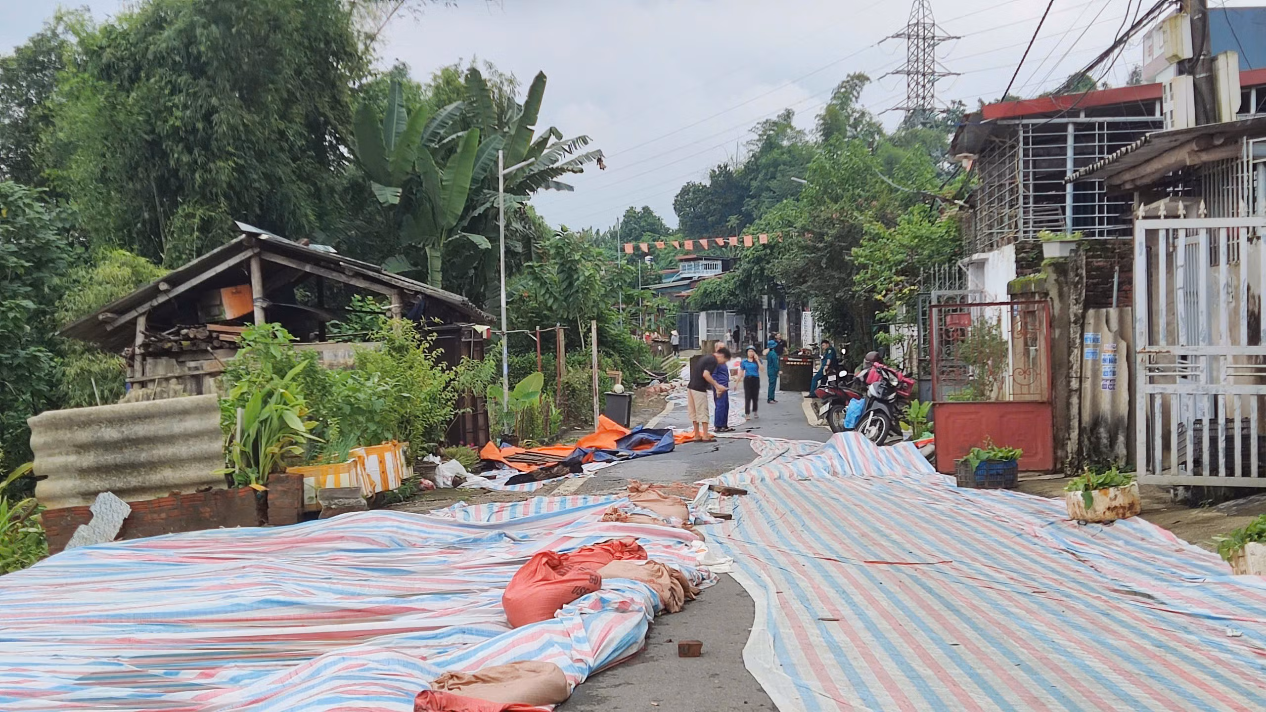 Rải bạt dứa vào các vết nứt.