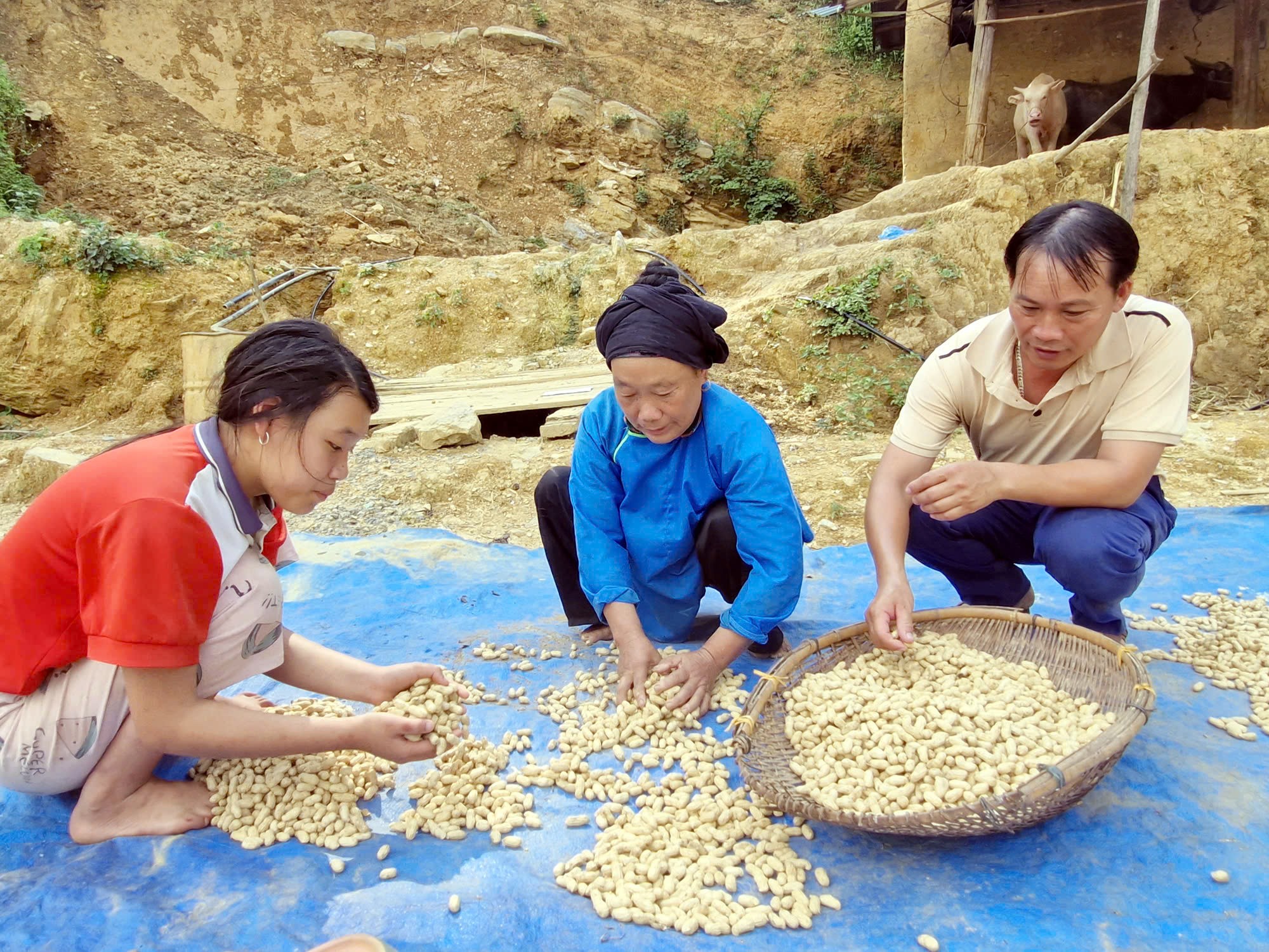 Không chỉ nhiệt tình, gương mẫu với công việc chung, Trưởng thôn Thền Văn Khương còn là tấm gương điển hình trong phát triển kinh tế gia đình. 3-9.jpg