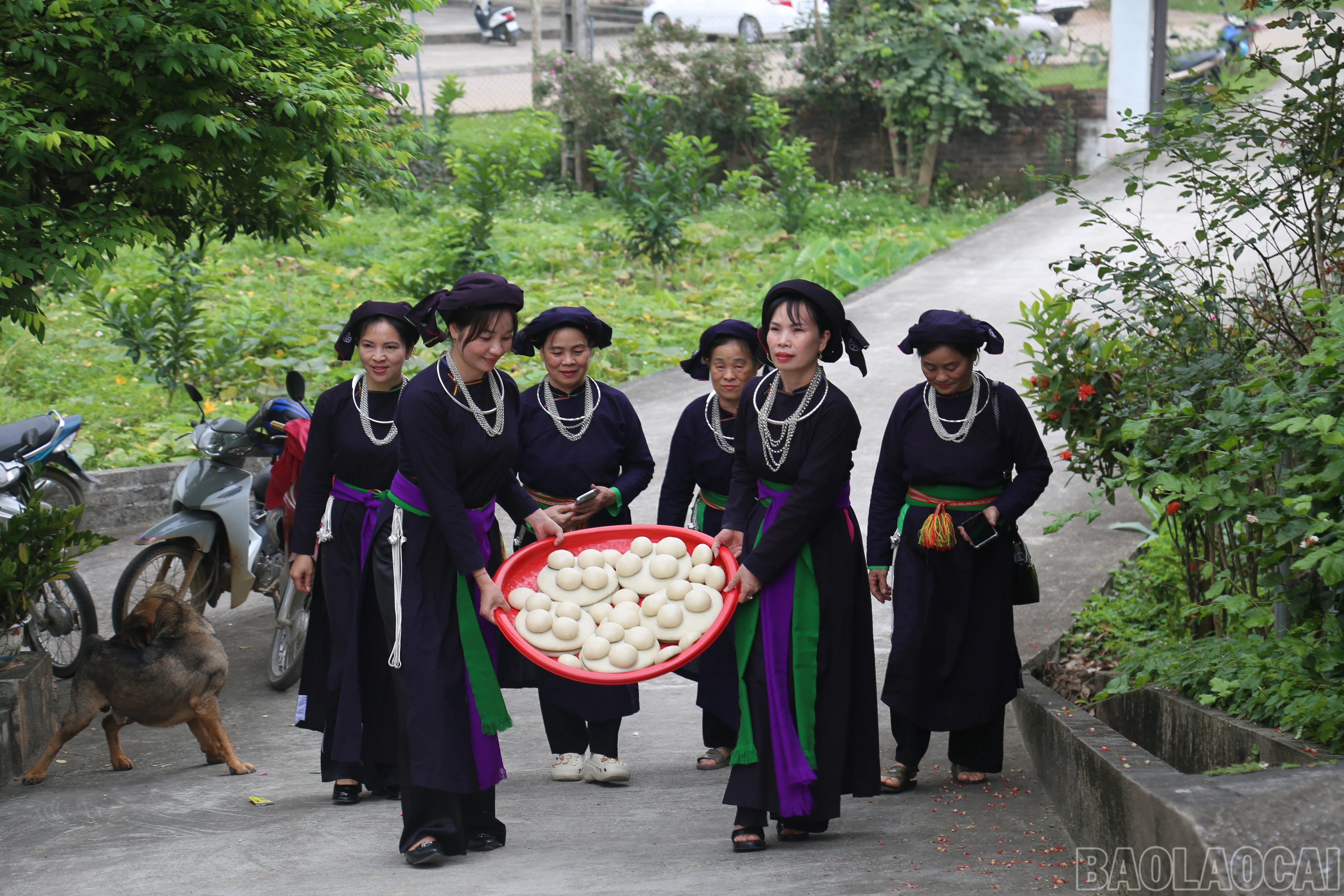 baolaocai-br_chuan-bi-banh-day-dang-le.jpg