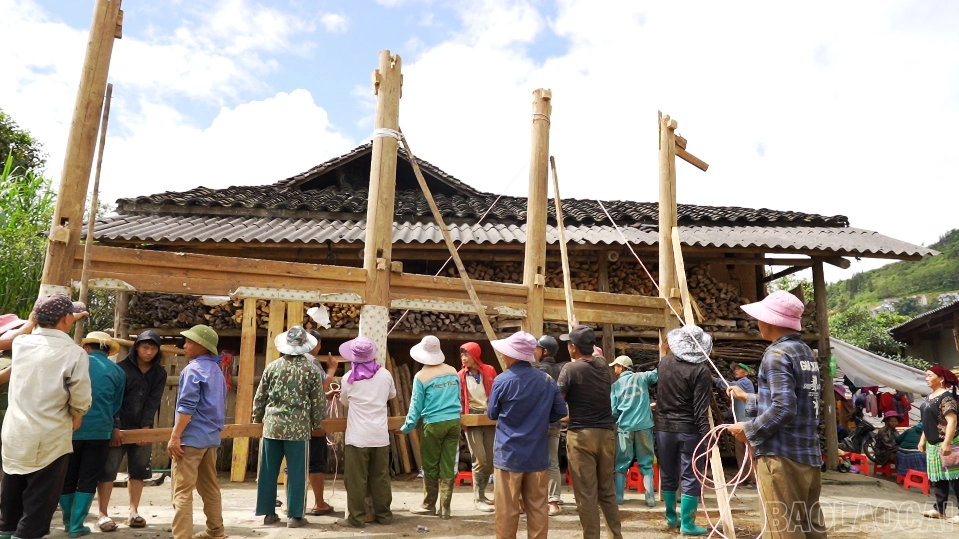 baolaocai-br_14-2486.jpg