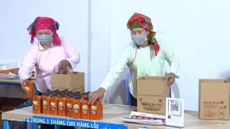Đặc sản Mường Khương"lên kệ" phục vụ thị trường Tết