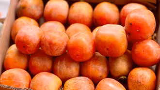 Hồng giòn Bảo Hà - món quà của mùa thu