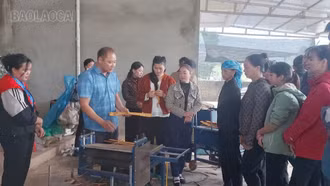 Tập huấn kỹ thuật sơ chế, chế biến quế theo tiêu chuẩn thị trường