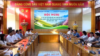Lào Cai tăng cường phối hợp phát triển du lịch nông nghiệp, nông thôn