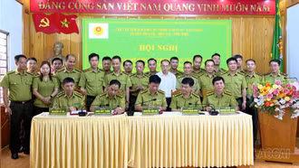 5 tỉnh tăng cường phối hợp bảo vệ rừng vùng giáp ranh