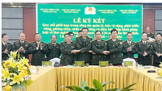 Đánh giá công tác phối hợp quản lý rừng vùng giáp ranh năm 2024
