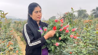 Mồng 2 Tết, nông dân rộn ràng ra đồng khai xuân