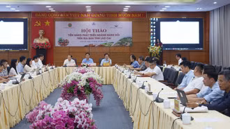 Đánh giá tiềm năng phát triển ngành hàng hồi trên địa bàn tỉnh Lào Cai