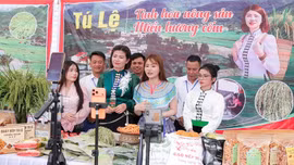 Hàng Việt chinh phục người tiêu dùng bằng chất lượng