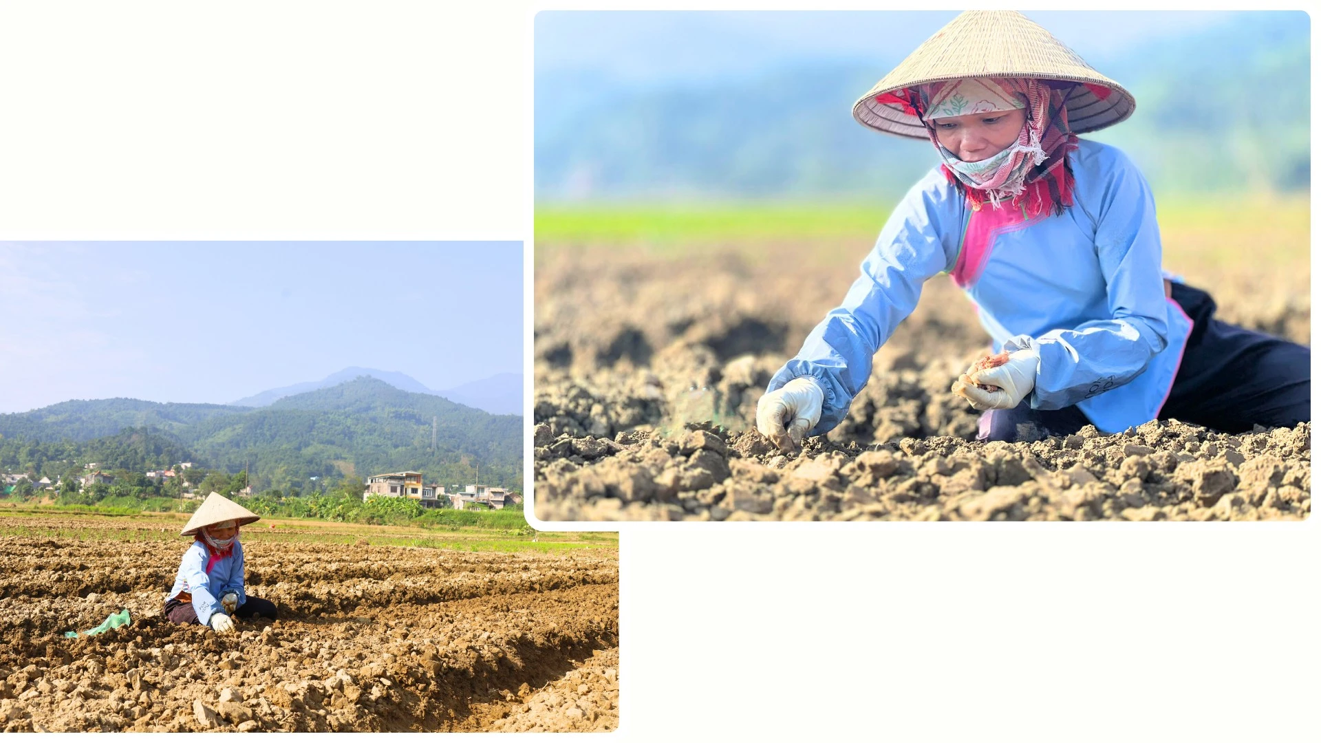 Người dân Bát Xát nỗ lực khôi phục sản xuất.