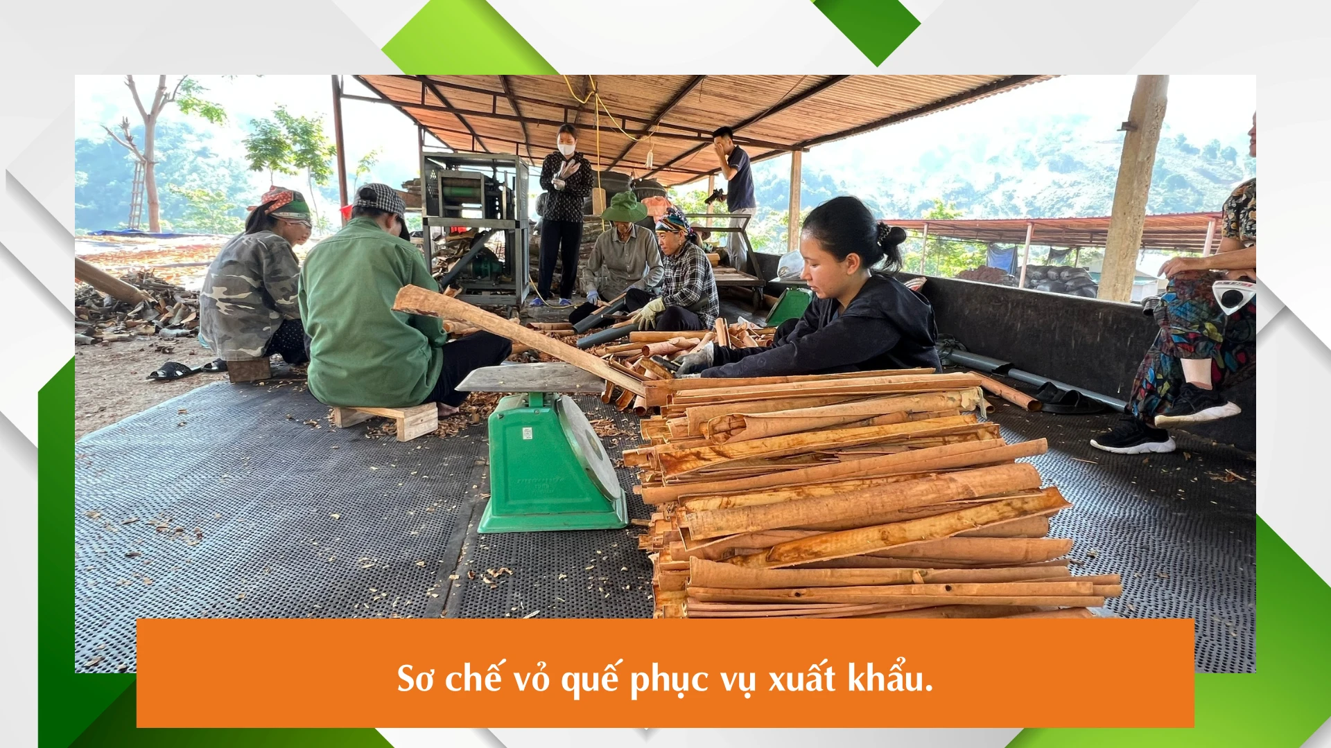 Nụ cười mùa quế.png