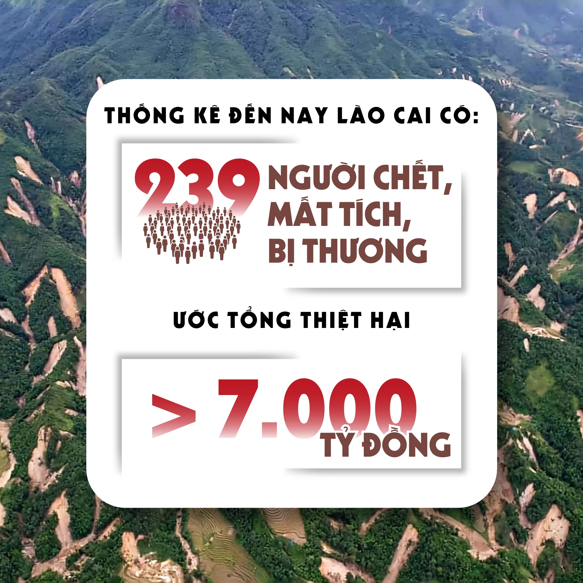 diem-tua-trong-bao-giong-6.png