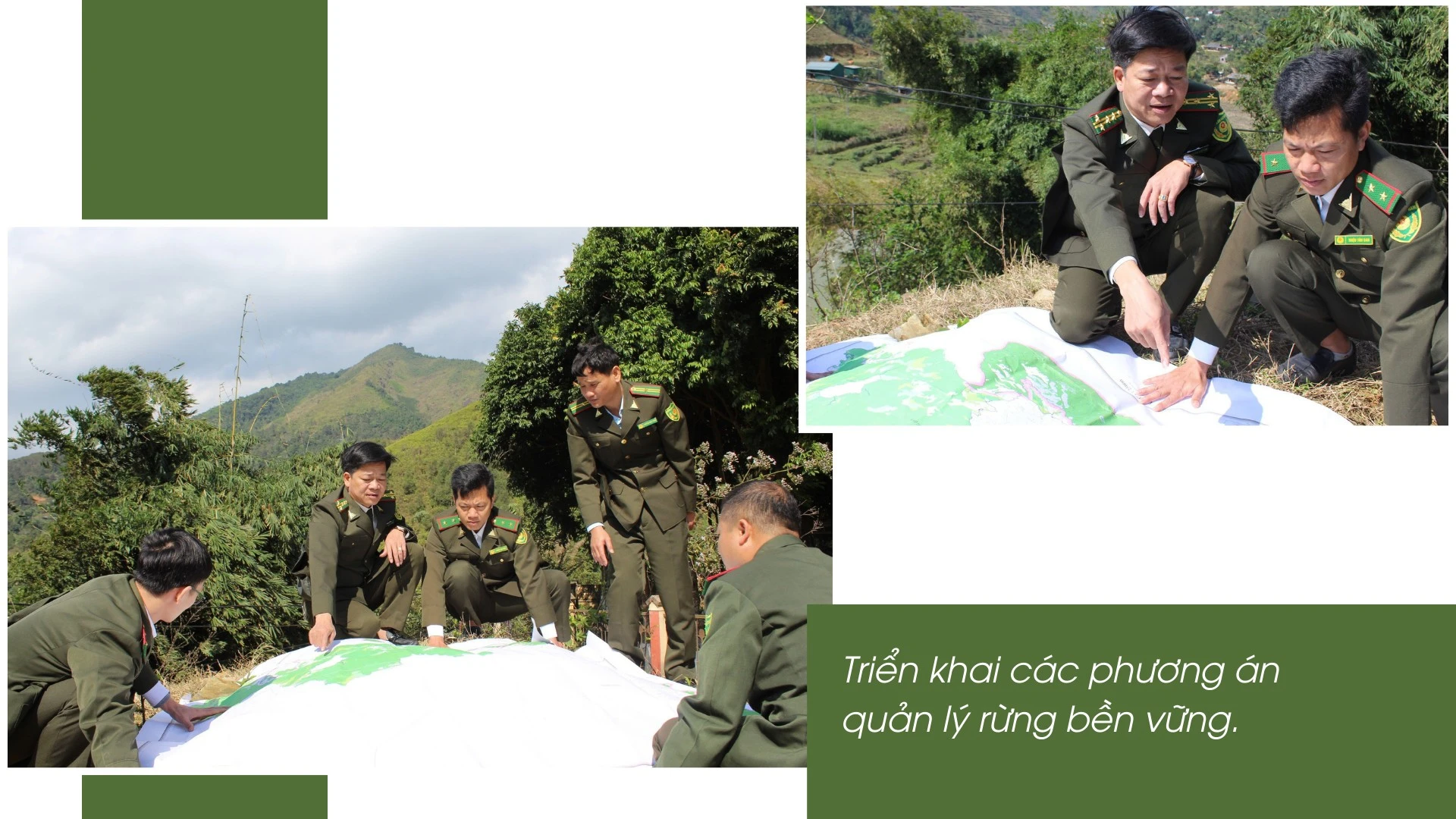phat-trien-va-quan-ly-rung-ben-vung.png