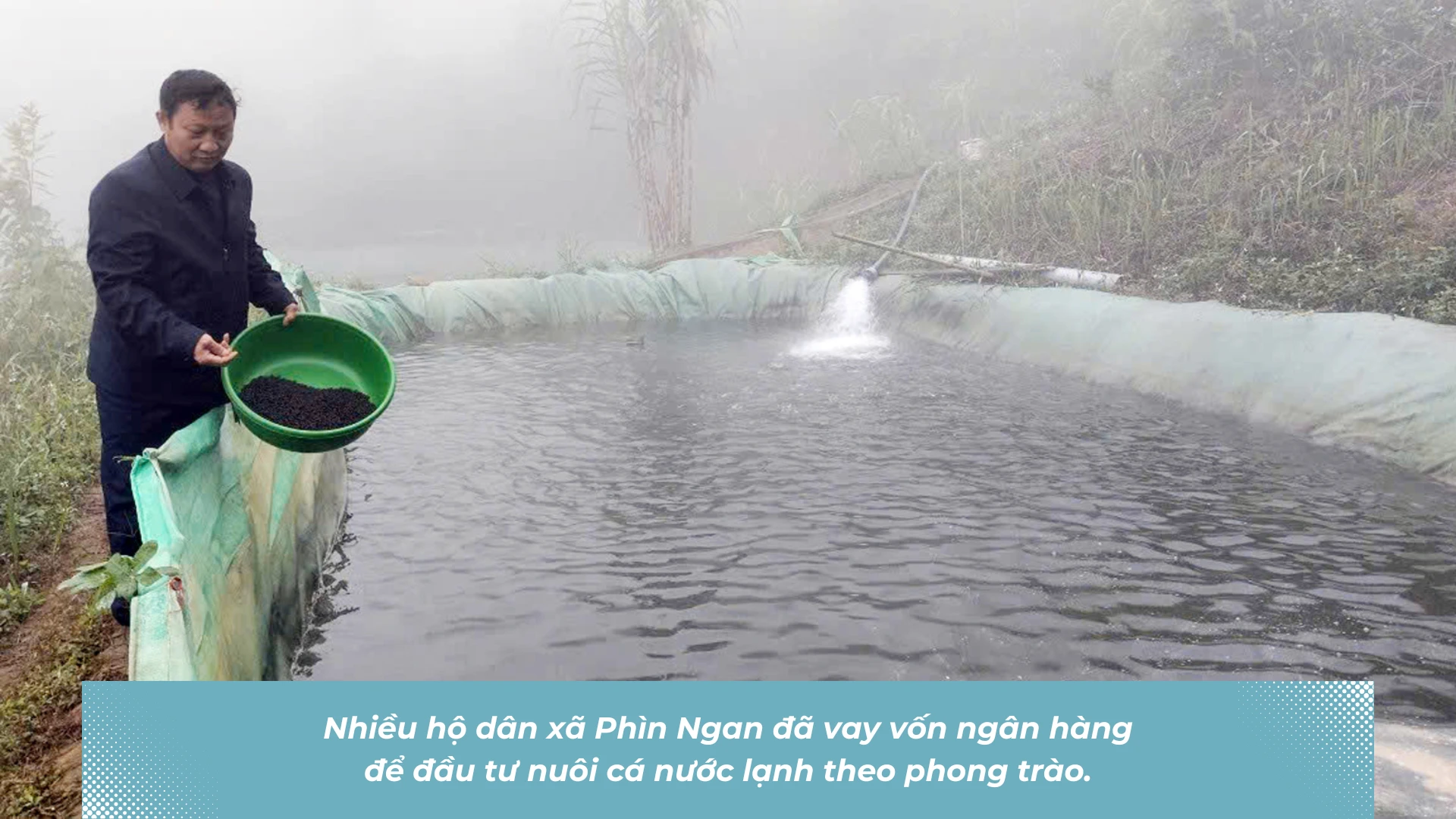 phat-trien-nong-nghe-nuoi-ca-nuoc-lanh-va-nhung-he-luy-1-3763.png