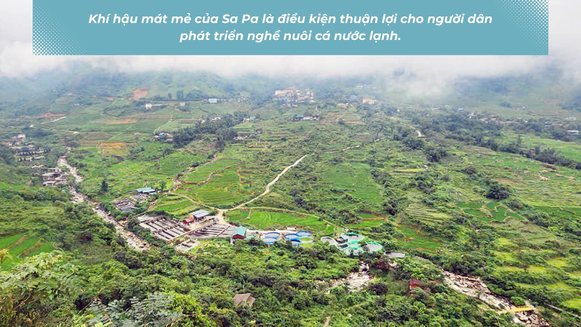 phat-trien-nong-nghe-nuoi-ca-nuoc-lanh-va-nhung-he-luy-1475.png