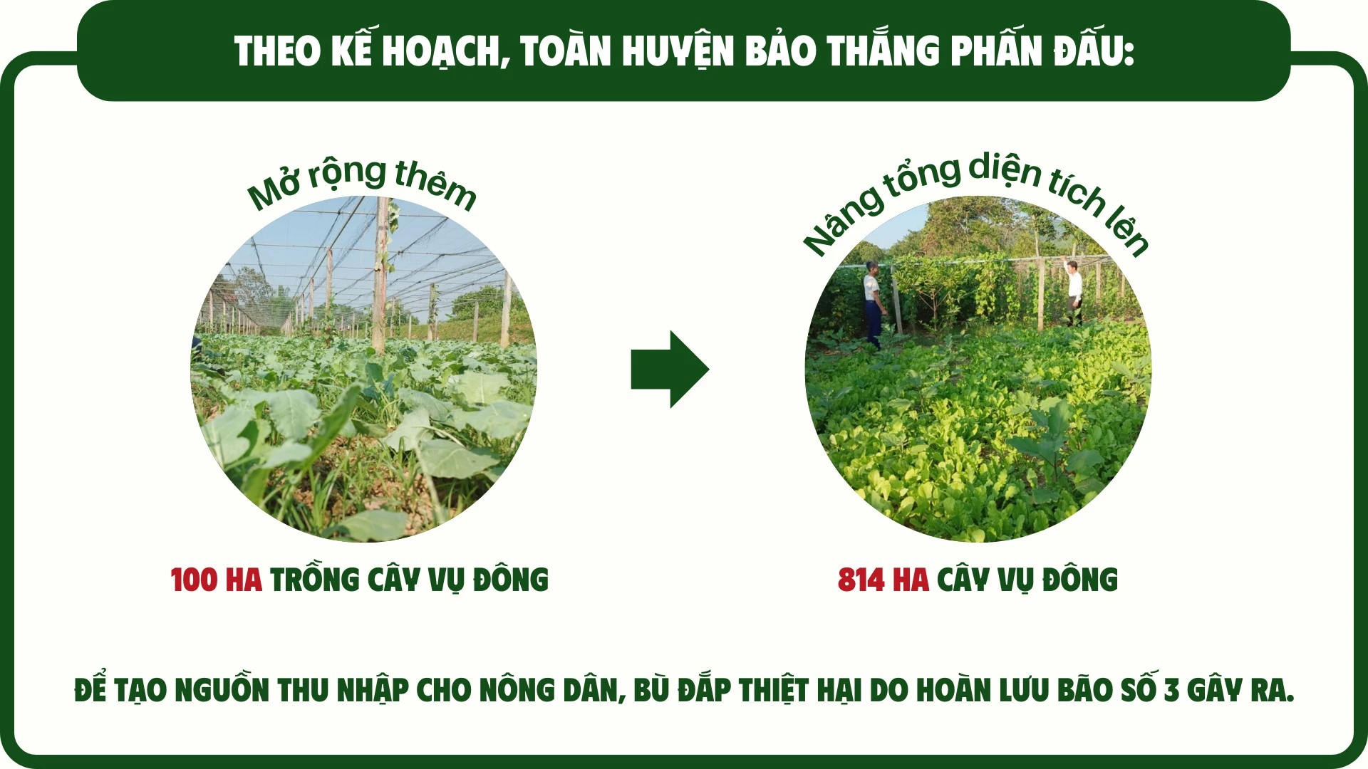 tai-thiet-xanh-sau-thien-tai-1-5707.png