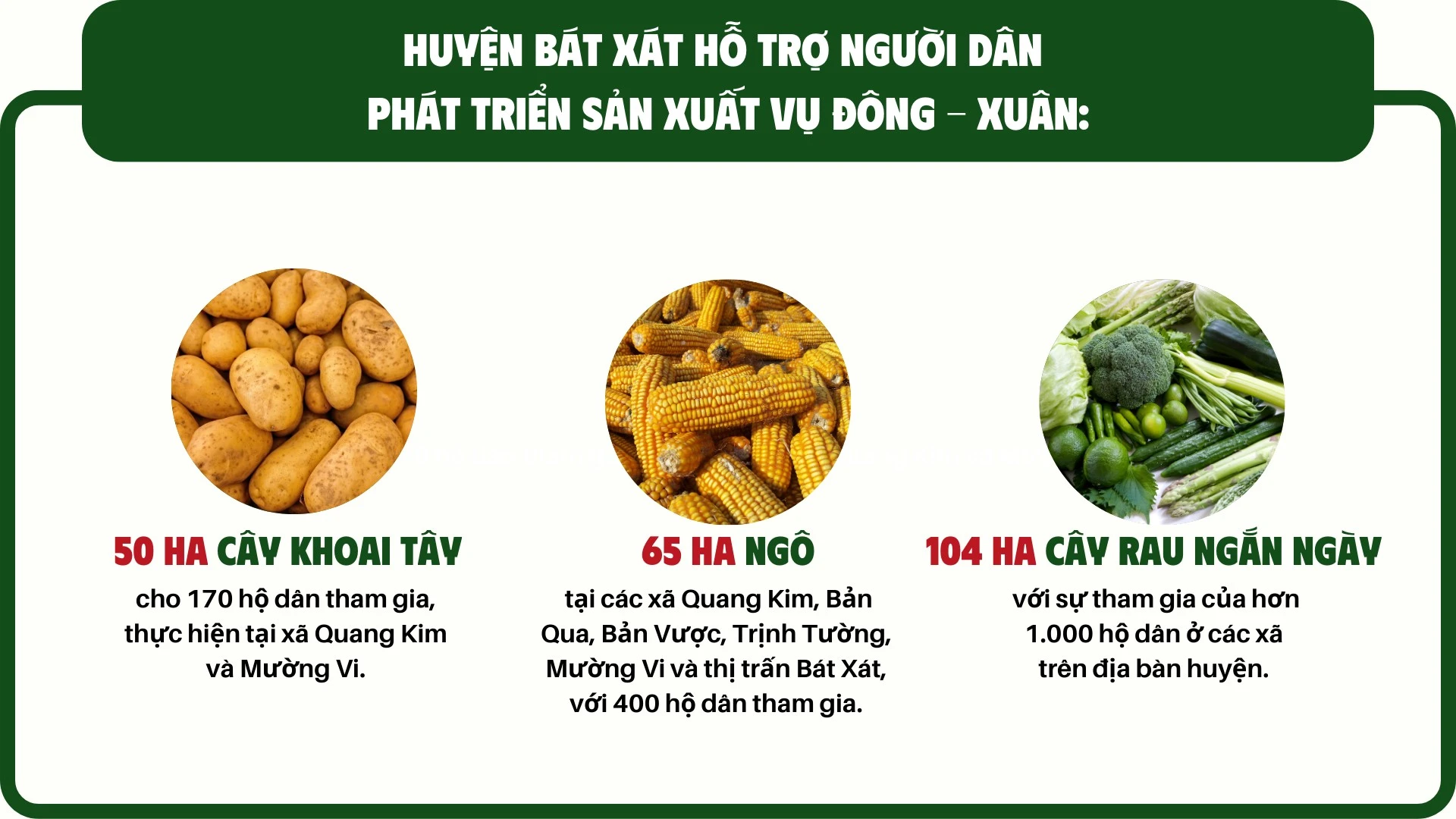 tai-thiet-xanh-sau-thien-tai.png