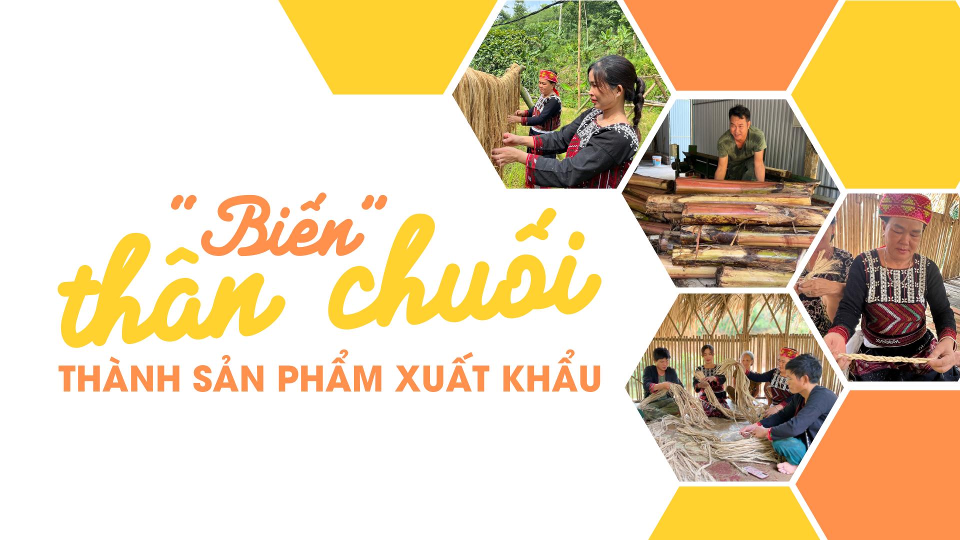 “Biến” thân chuối thành sản phẩm xuất khẩu