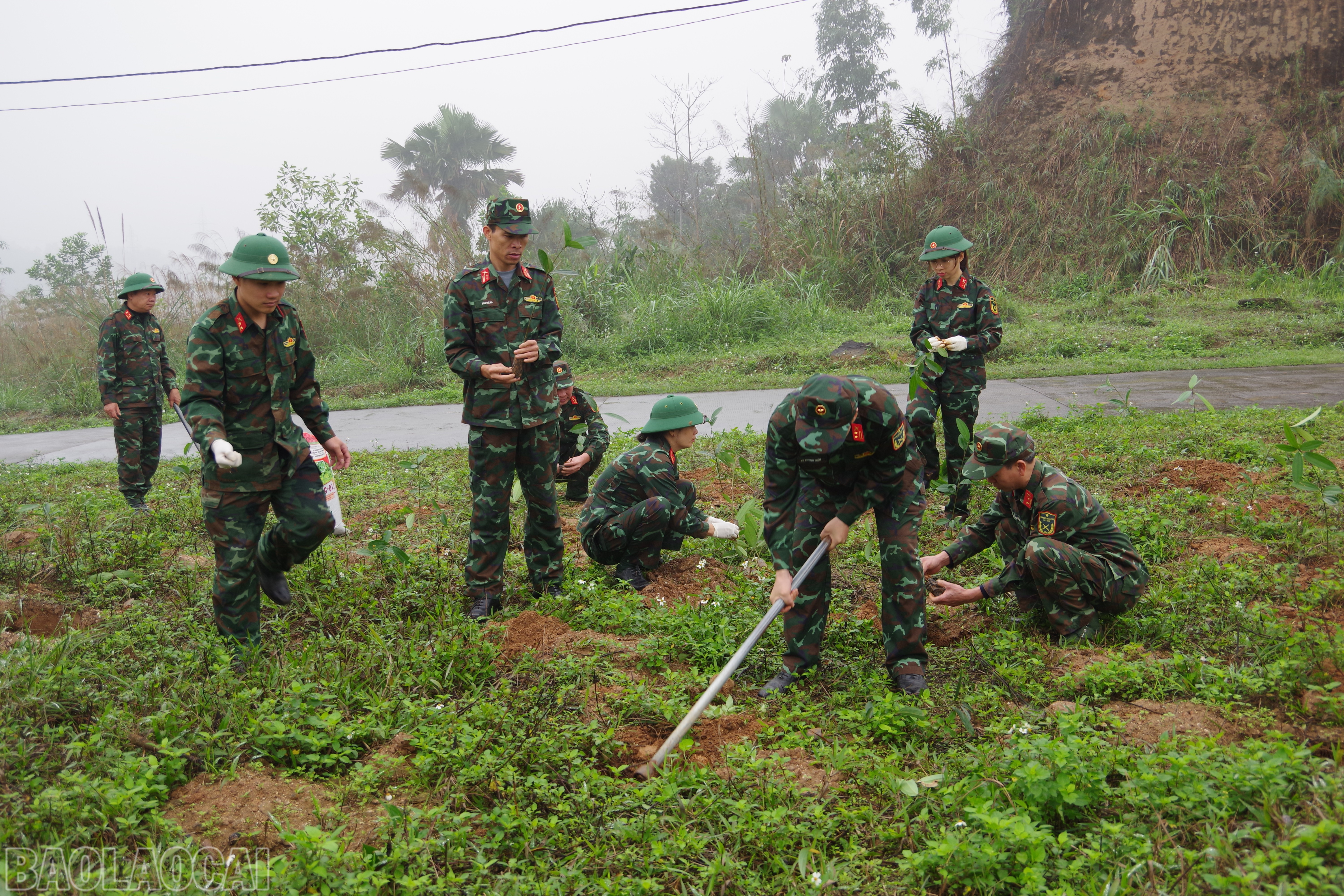 Cán bộ, chiến sĩ Bộ Chỉ huy Quân sự tỉnh trồng cây tại các tuyến đường, khuôn viên của Bộ Chỉ huy Quân sự và các đơn vị.