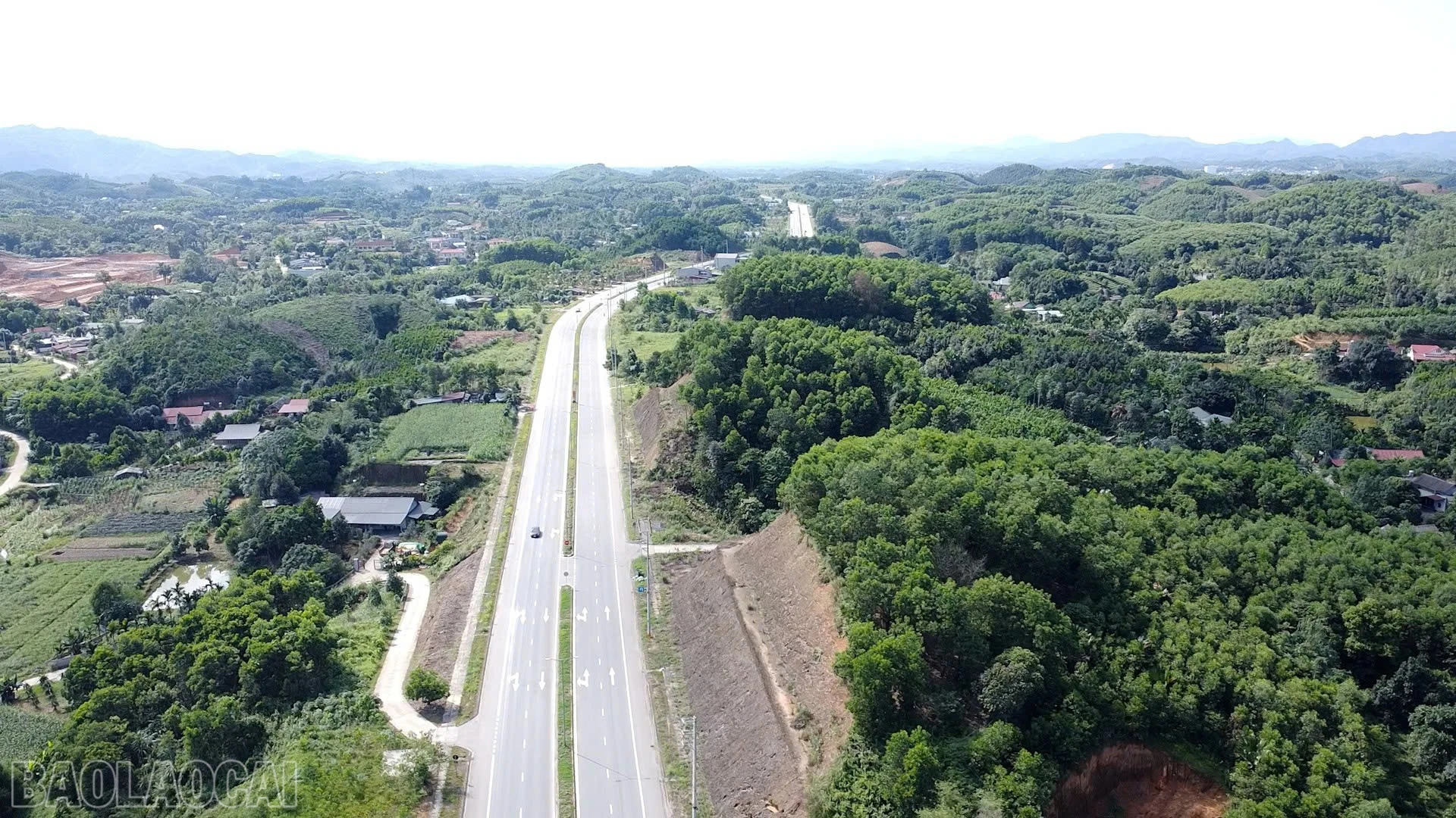 baolaocai-bl_z7819493793624-c8b2602038e123b8ceffe9b940da642d.jpg