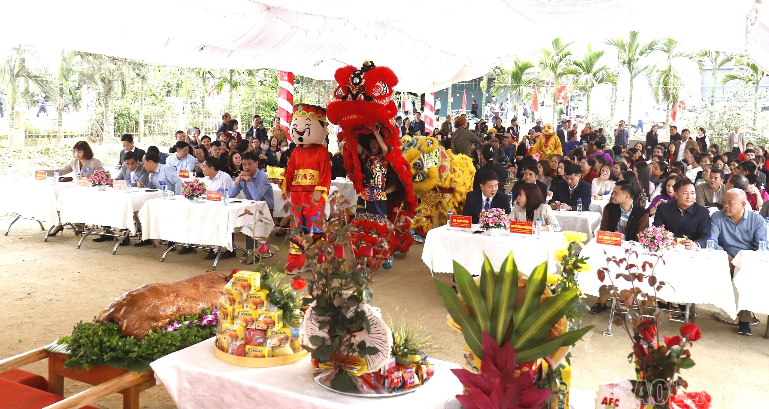 baolaocai-br_z7585596058667-b9cc628d39bb9293cce050d8ba619110-8600.jpg